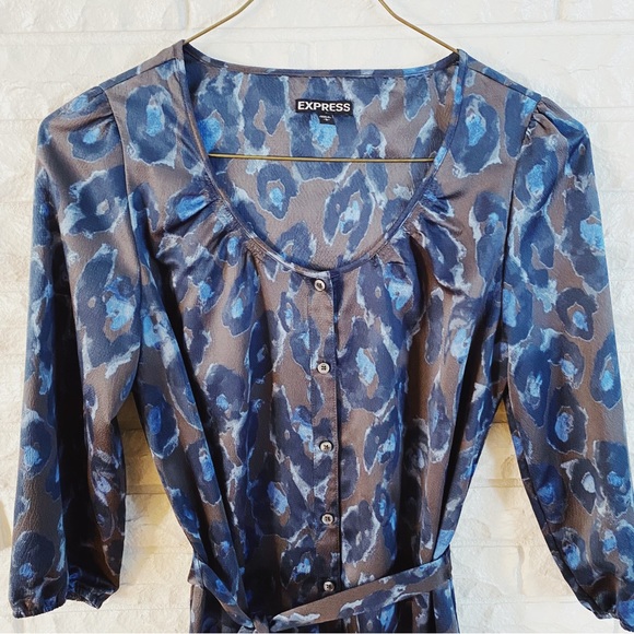 Express Animal Print Dress - Picture 2 of 5